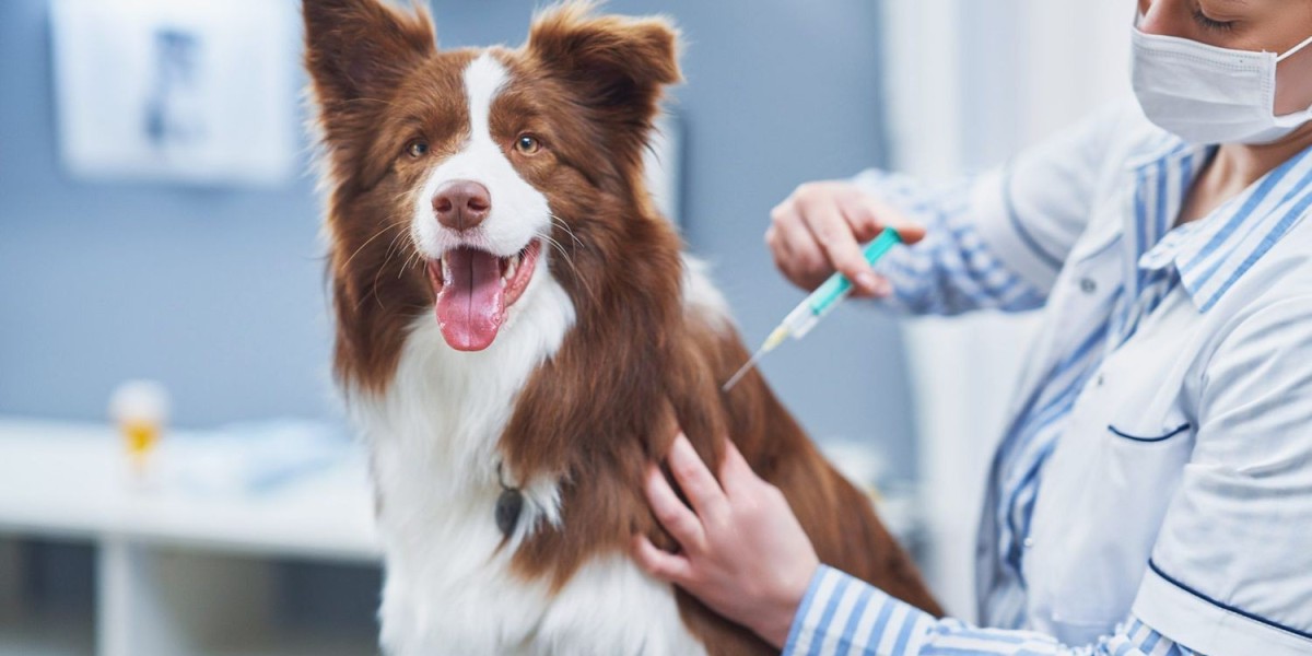 The Global Canine Influenza Vaccine Market Primed to Grow at a Robust Pace due to Rising Pet Adoption