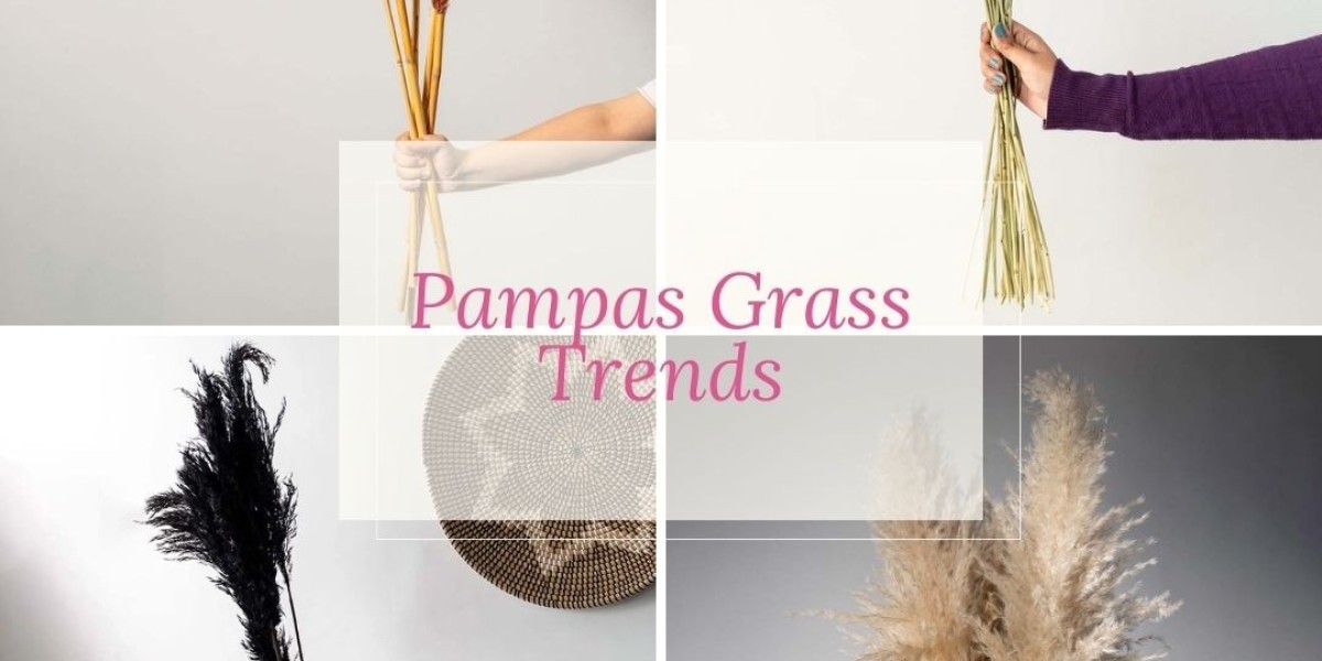 Pampas Grass Trends and Why It’s Popular to Stay