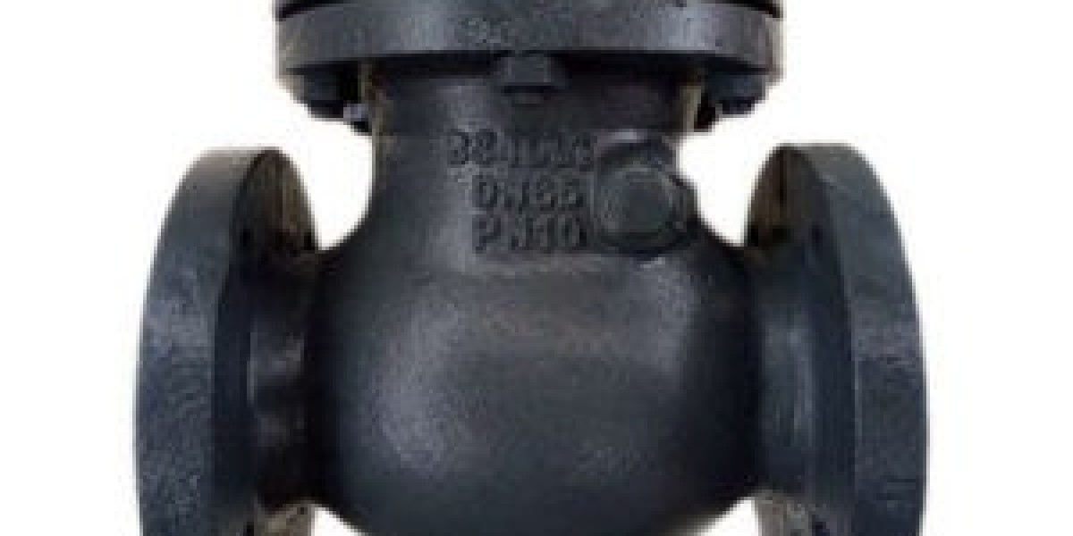 Super Duplex Check Valve Manufacturer in India