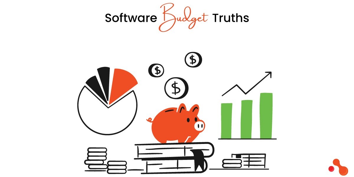 The Truths Behind Software Budget Mismanagement