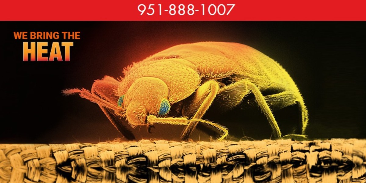 Bed Bug Control - Expert Bed Bug Removal Services Hemet