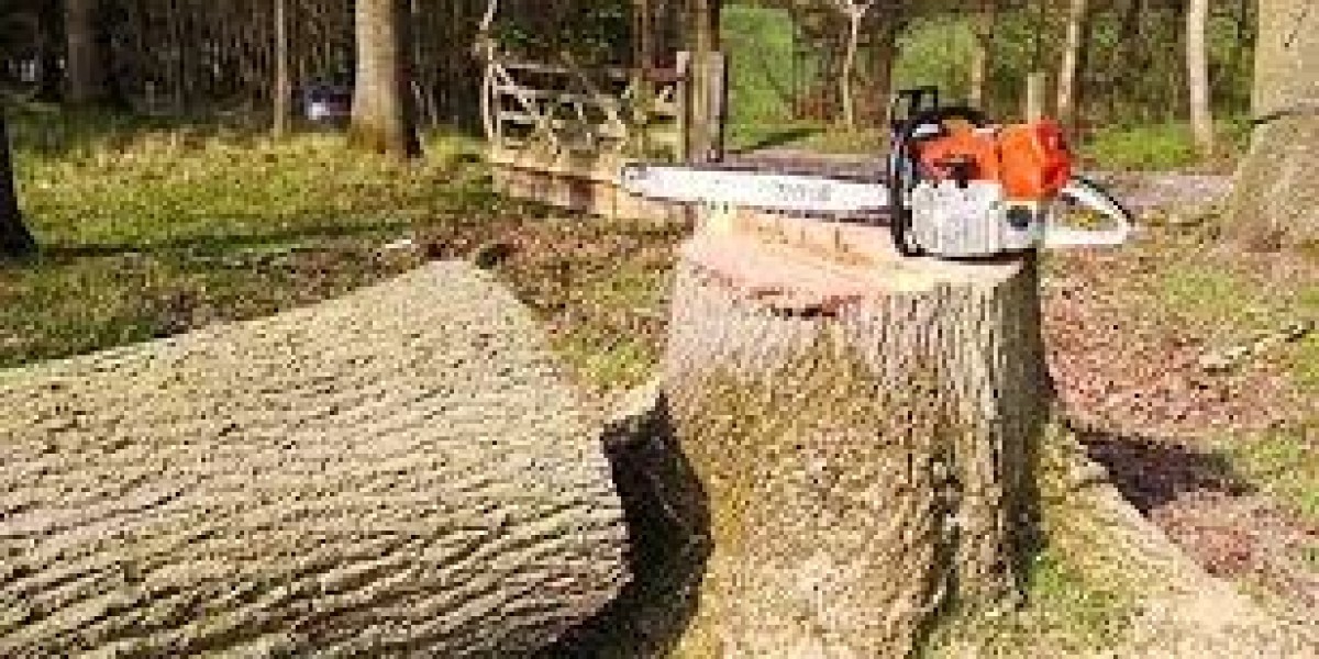 The Value of Hiring Expert Tree Removal Services for Large Trees