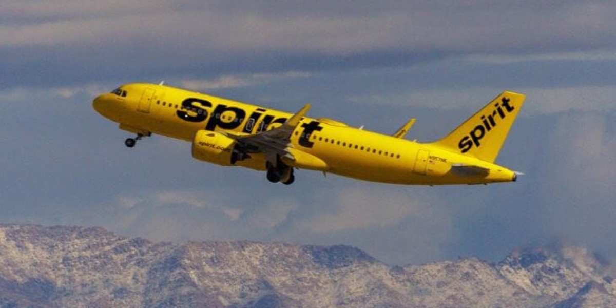 Navigating Spirit Airlines Check-in Process: A Comprehensive Guide