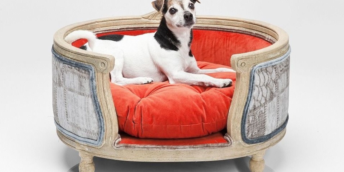 Growing Pet Humanization Is The Main Factor Driving The Expansion Of The U.S. Pet Furniture Market.