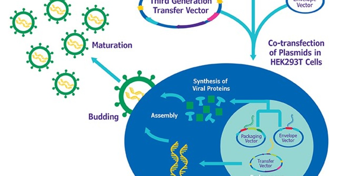 Lentiviral Vectors Market is Poised to Grow Owing to Rising Demand for Gene Therapy