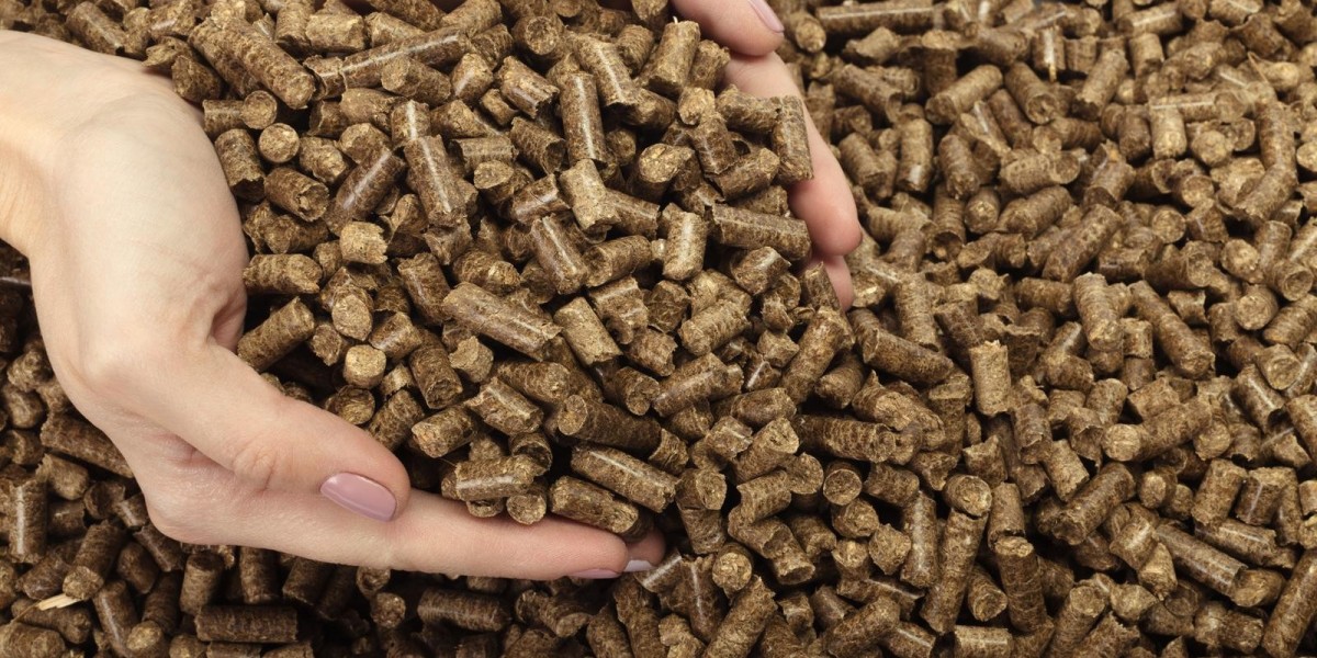 Exploring Biomass Solid Fuel: Eco-Friendly Heating and Power