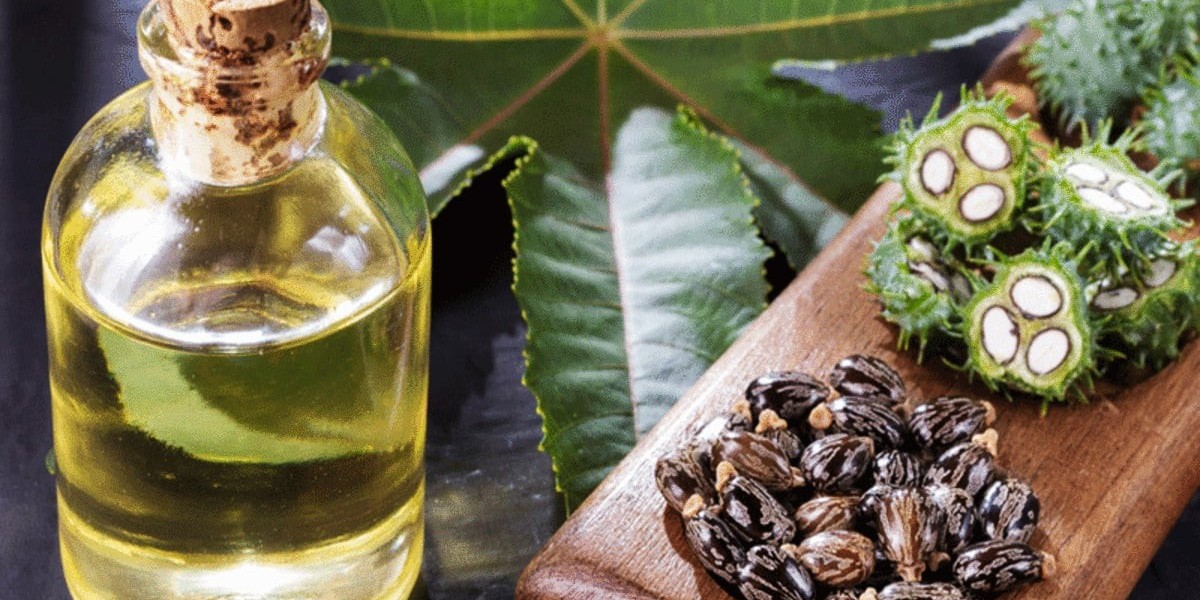 Exploring Castor Oil Derivatives: Sustainable Alternatives for Biodegradable Products