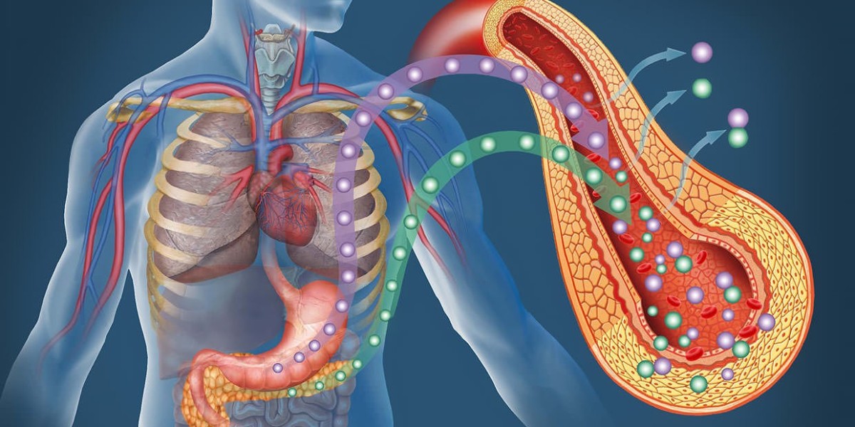 The Niemann-Pick Disease Drug Type C Treatment Market will grow at highest pace owing to growing R&D investments