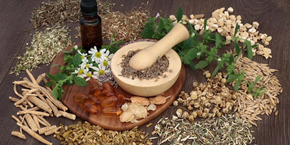A Comprehensive Analysis of the Global Traditional Medicine Market