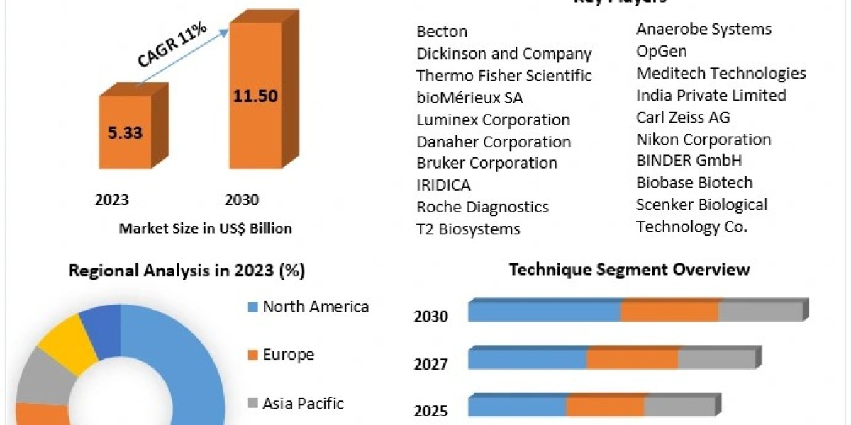 Blood Culture Tests Market Business Developing Strategies, Growth Key Factors forecast 2030