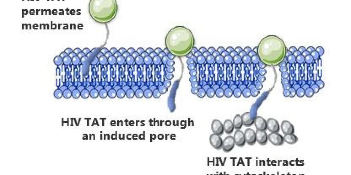 Cell Penetrating Peptides: Revolutionizing Drug Delivery in a US$ 2.94 Bn Market