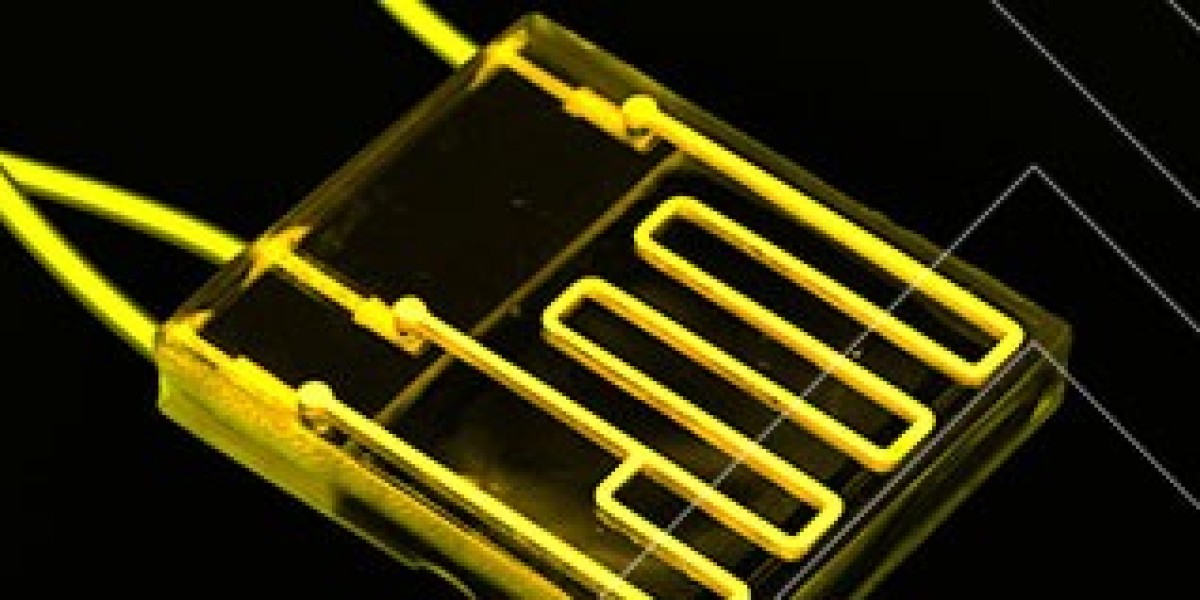 Progressive Projections: Organs-on-Chips Market on a Steady Climb