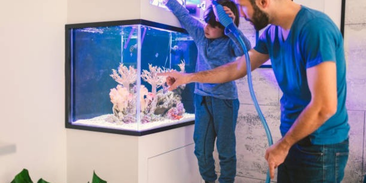 Elevate Your Reef Tank with Premium Aquarium Supplies