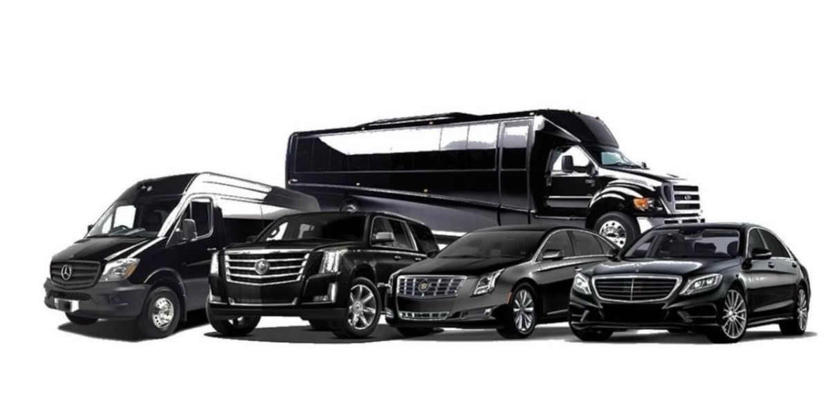 Experience the Elegance of Expert Black Car Service