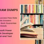 PL-500 Exam Dumps