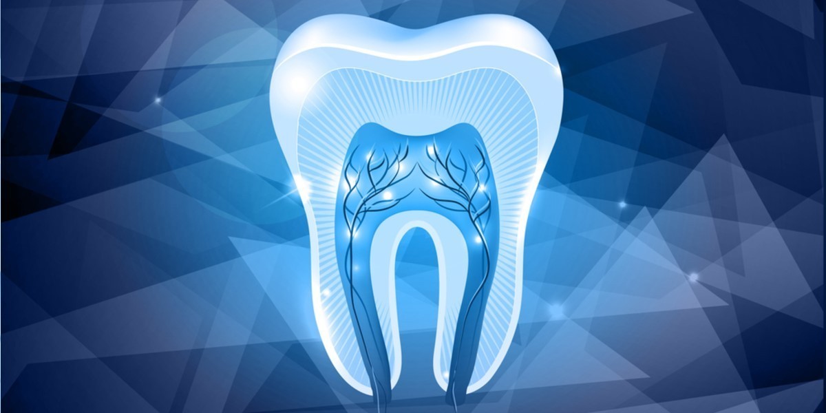 Tooth Regeneration: Turning Back the Clock on Dental Health