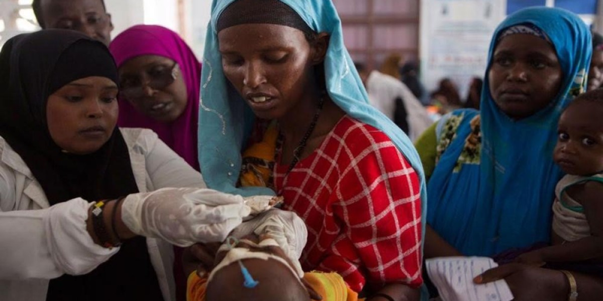 A Shot of Hope: Zambia's Cholera Vaccine Rise in Cholera Vaccination Efforts