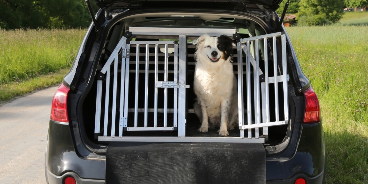 The Unrivaled Convenience of Pet Transfers by Airport Pick Drop: