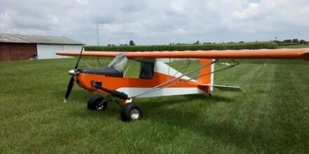 Ultralight Aircraft: Meeting Soaring Demand for Eco-Friendly Aviation