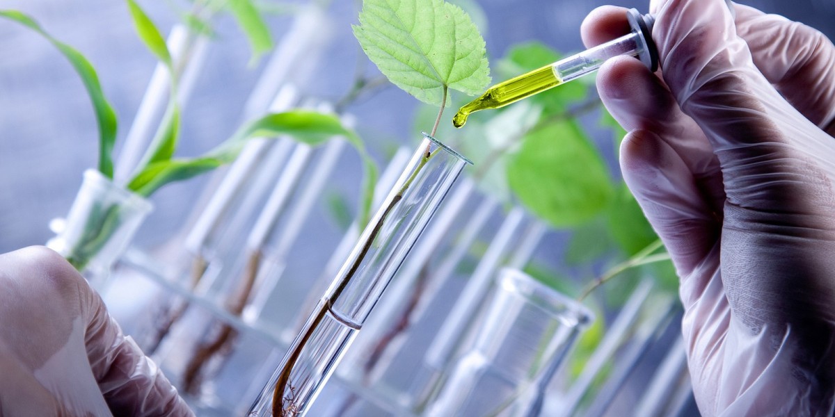 Middle East and Asia Pacific Biotechnology Market to Surpass Growing Healthcare Expenditure