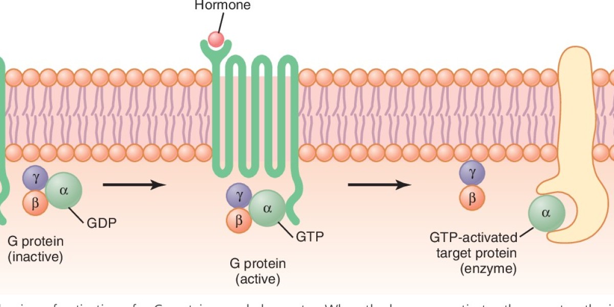 The Potential Of Global G-Protein Coupled Receptors: Implications For Drug