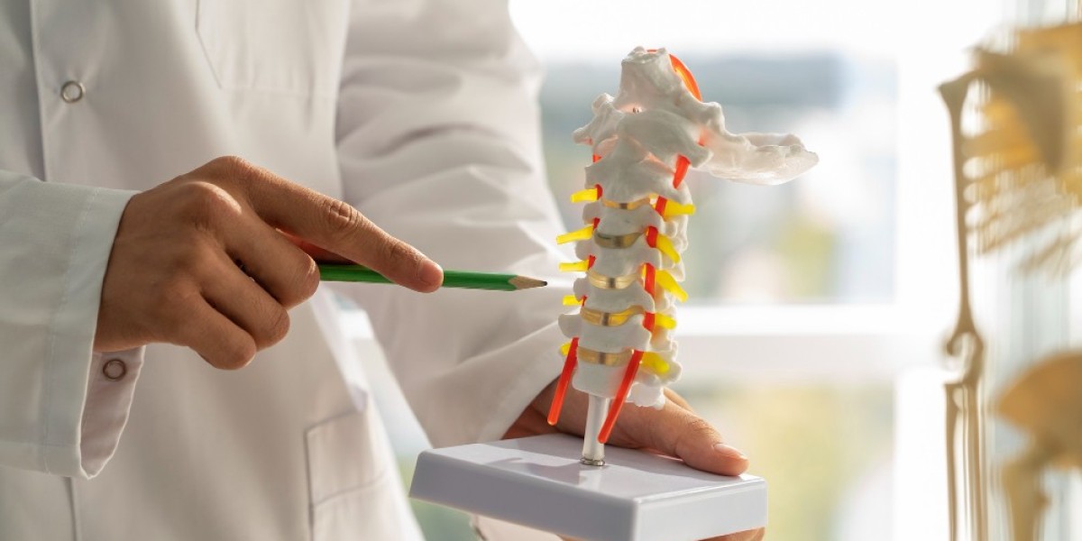 Osteoporosis Treatment  Market Challenges and Opportunities Share Growth And Demand Forecast (2024-2033)