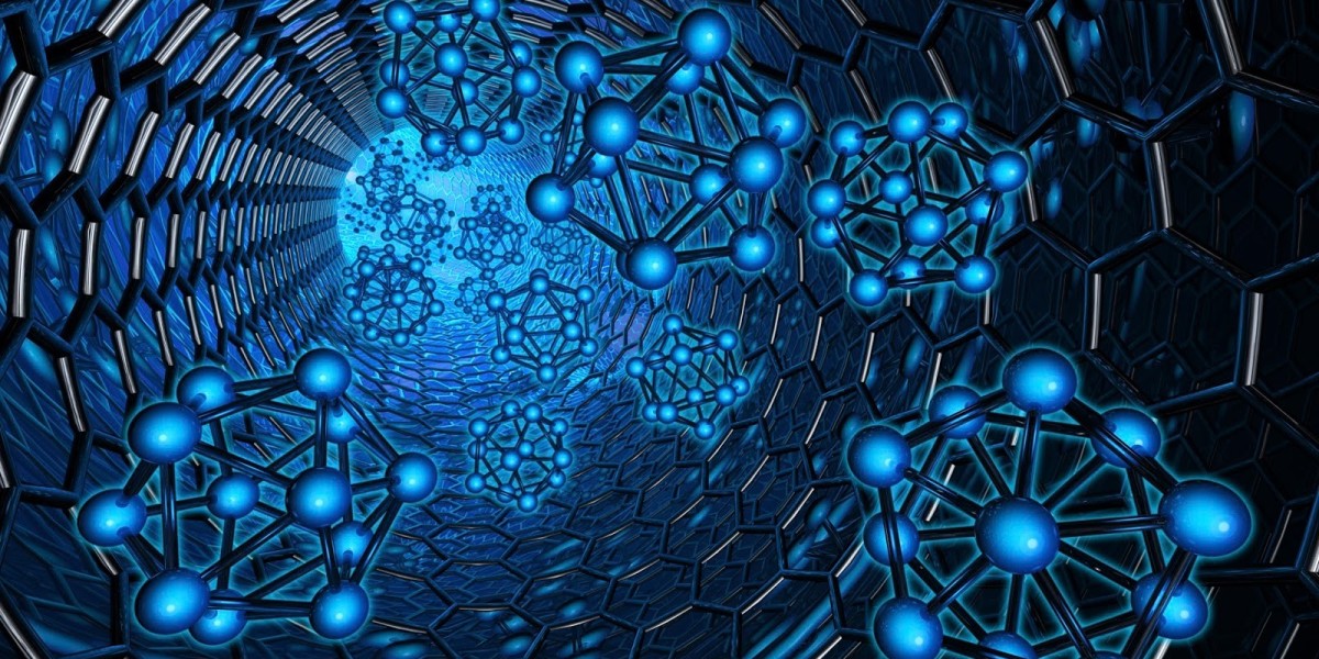 Beyond Diagnostics: Exploring the Expanding Horizons of the Global DNA Nanotechnology Market