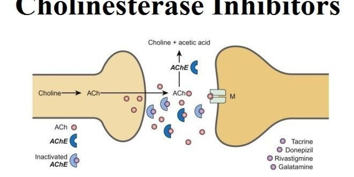 Cholinesterase Inhibitors Market — Global Industry Trends, Growth, Opportunities and Forecasts