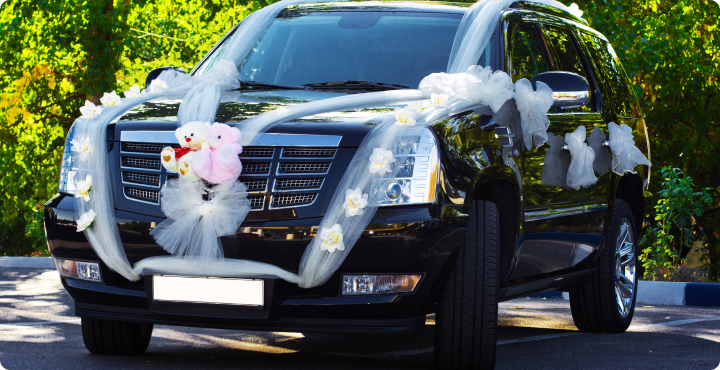 Wedding Transfers Gold Coast | Wedding Bus Hire Brisbane | Sky Transfers