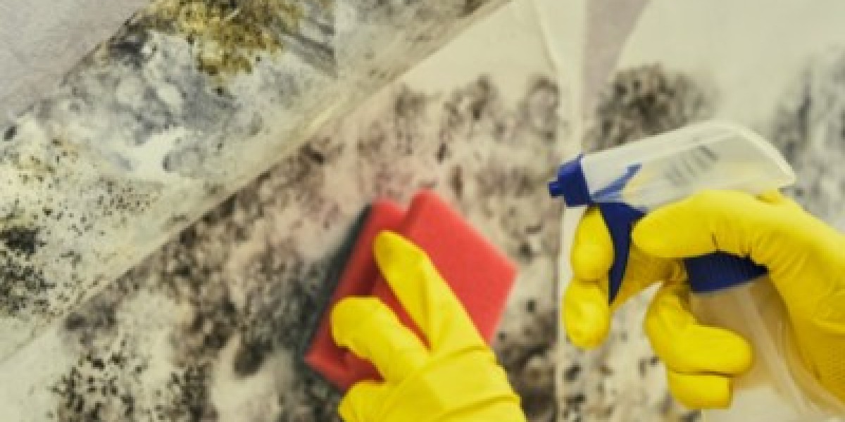 Maximizing Efficiency: Tips for Using Chlorine Dioxide Disinfectant Spray