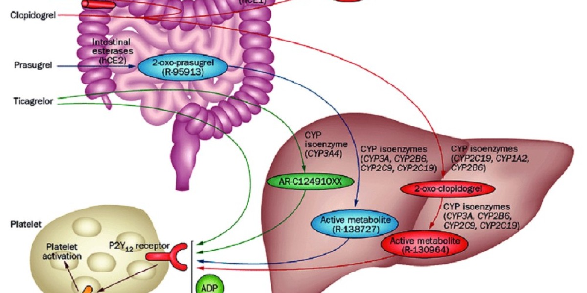 U.S. P2Y12 Inhibitors Market Poised for Rapid Growth Due to Rising Cardiovascular Diseases Prevalence