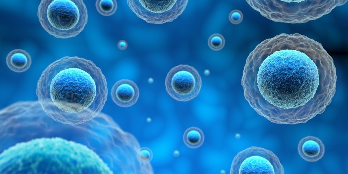 Artificial Intelligence will propel the Global Induced Pluripotent Stem Cells Market growth