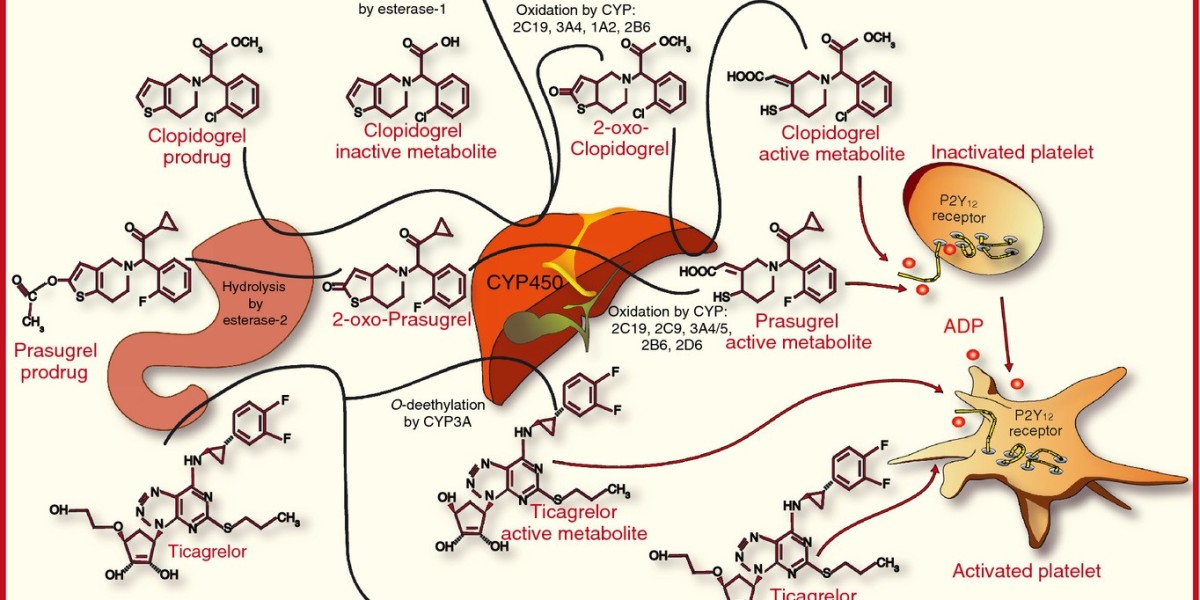 U.S. P2Y12 Inhibitors Market Poised to Grow at a High CAGR Owing to Rising Cardiovascular Diseases Prevalence