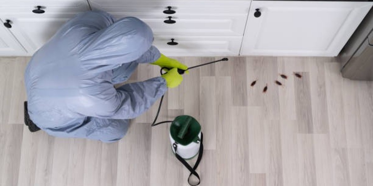 Imperial Pest Prevention: Your Orlando Pest Control Experts