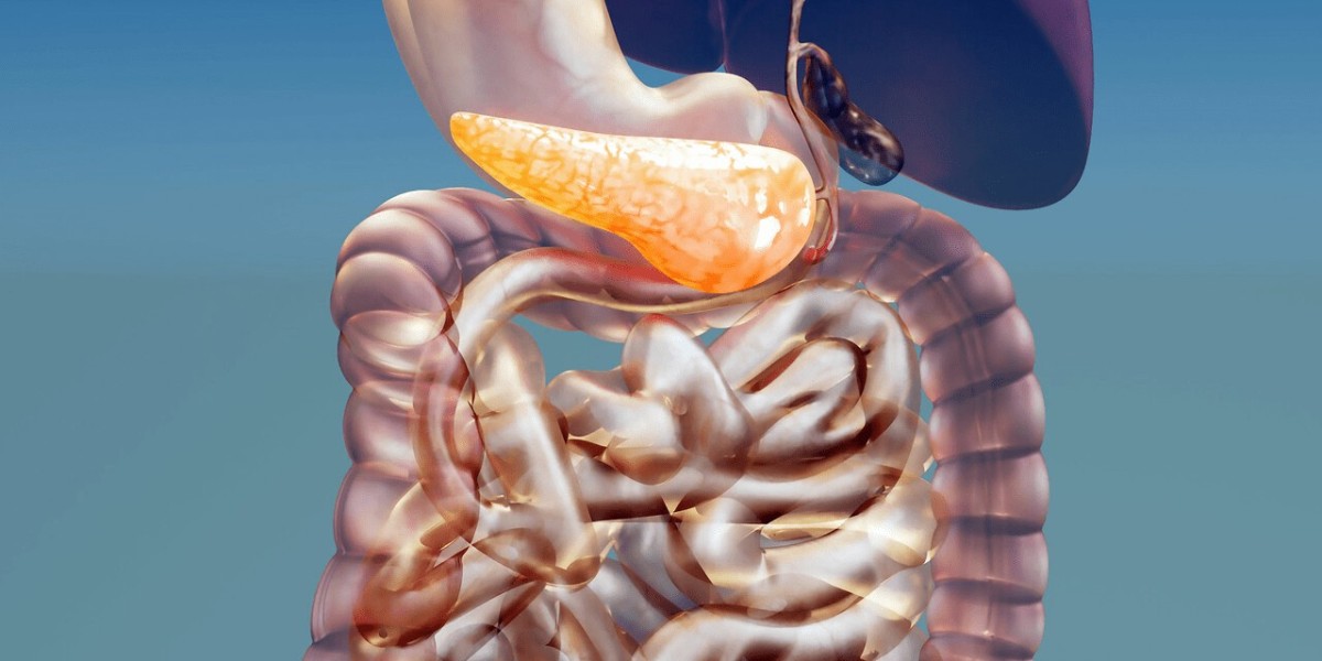 Regional Insights into the Digestive Enzyme Market