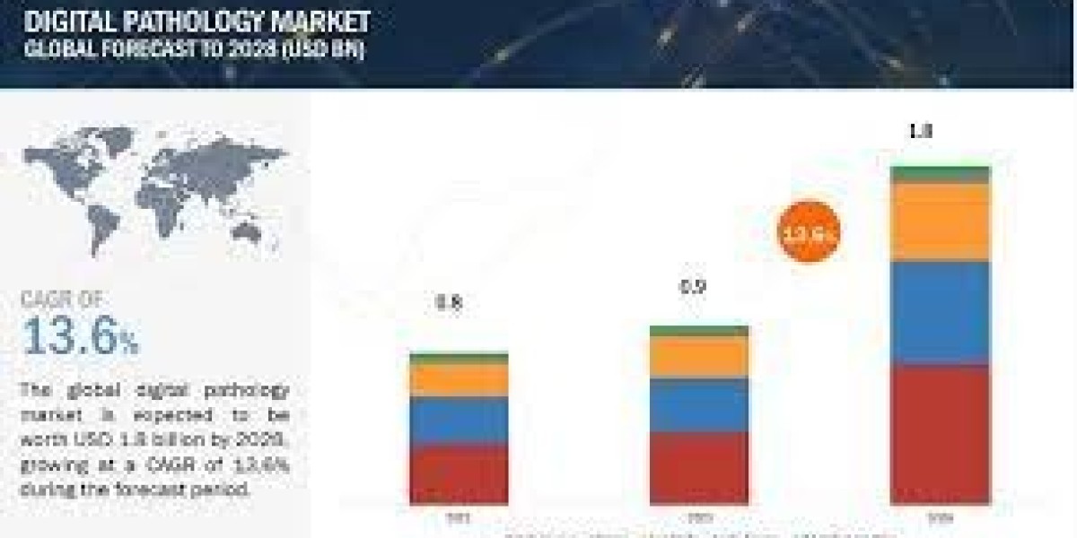 Evaluating Progress: Delving into the Digital Pathology Industry in 2023 - Size Assessment, Trend Exploration, and Share