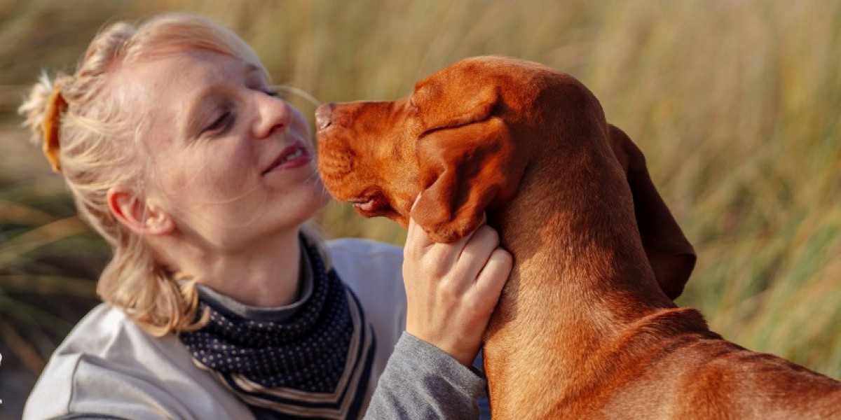 Your Bond with Your Dog Can Get Better With Obedience Training