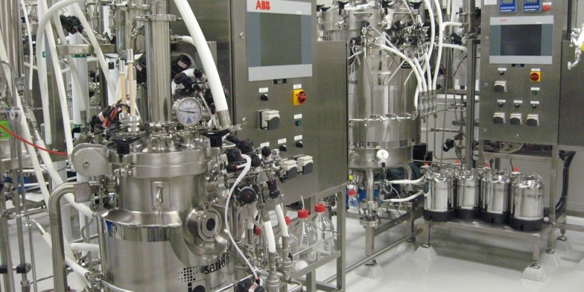 The Role of Bioprocess Containers Market in Modern Biopharmaceutical Manufacturing