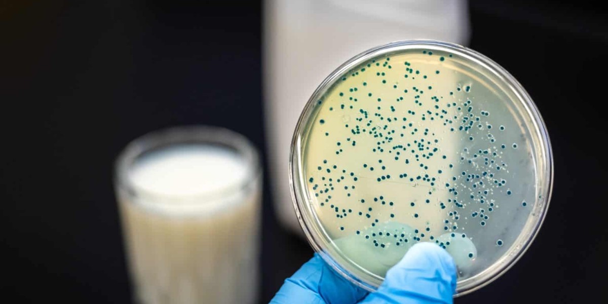 Bacterial Colony Counters Market To Witness Highest Growth Owing To Rising Need For Sterility In Processed Food And Phar