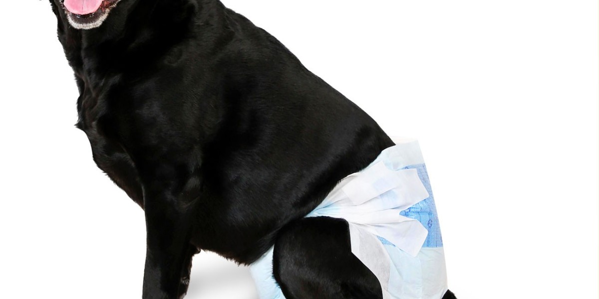 The Practical Guide to Dog Diapers: A Solution for Every Stage of Life