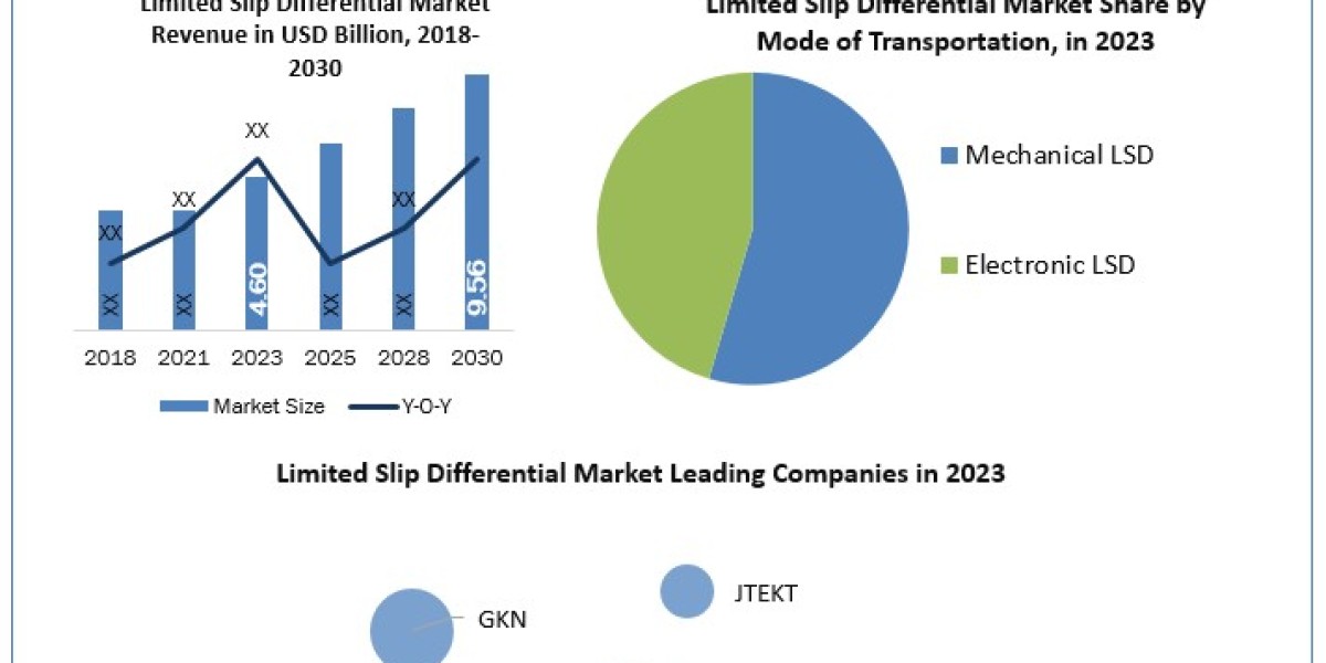 The Future of Limited Slip Differentials: Market Forecast 2024-2030