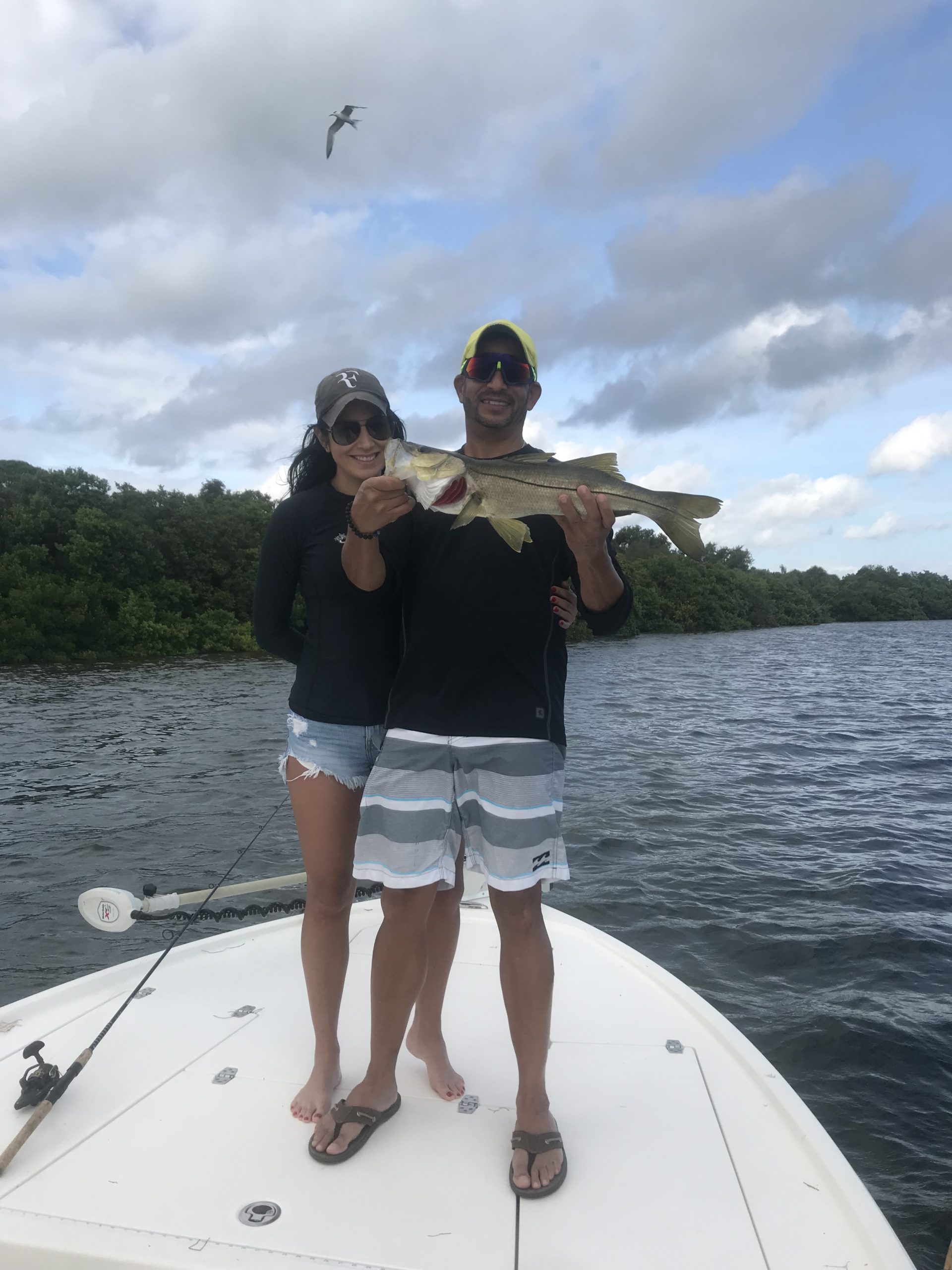 st petersburg florida native fishing charters