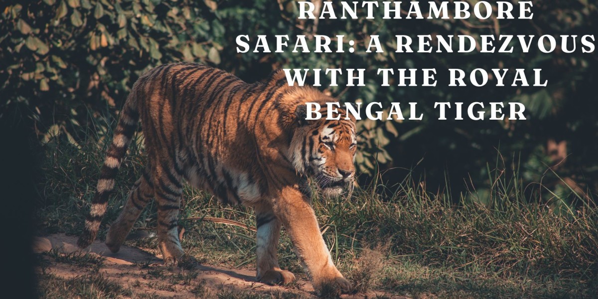 Ranthambore Safari: A Rendezvous with the Royal Bengal Tiger