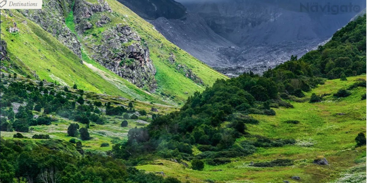 Your Complete Trekking Guide to Valley of Flowers