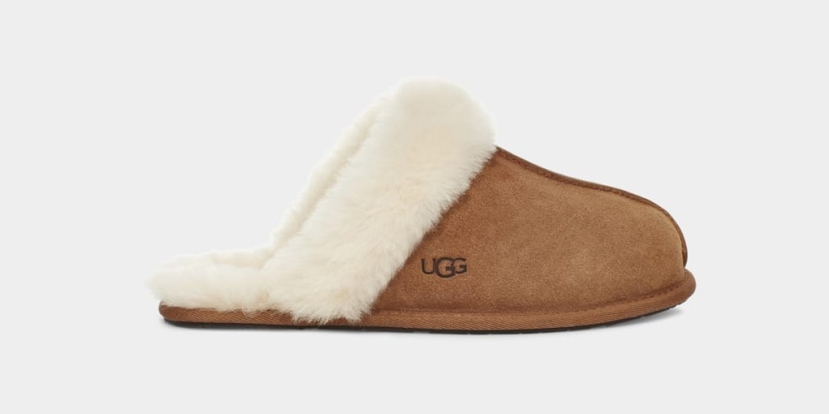 Unlock Unmatched Comfort: The Science Behind Hague Slippers for Women