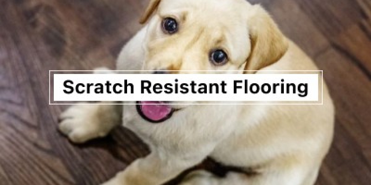 Protect Your Floors from Scratch-Resistant Flooring Now!