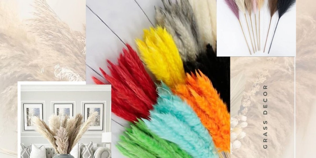 Pampas Grass Get The Perfect Colors Aesthetic for Your Home