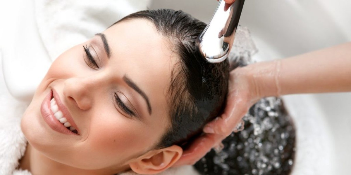 The Professional Hair Care Market is driven by rising demand for premium hair care products