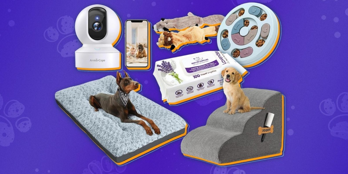 Essential Accessories for Happy Pets In 2024