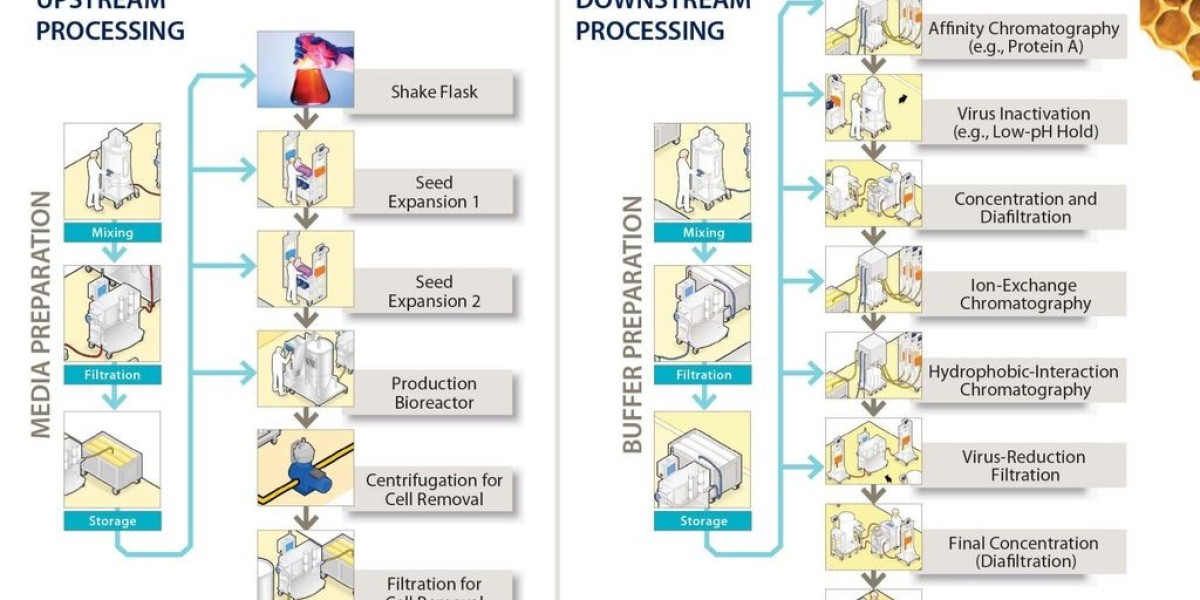 The Downstream Processing Market Is Driven By Growing Biopharmaceutical Industry